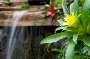 Orchid Waterfall