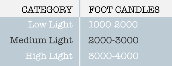 Foot Candle Light Level Chart