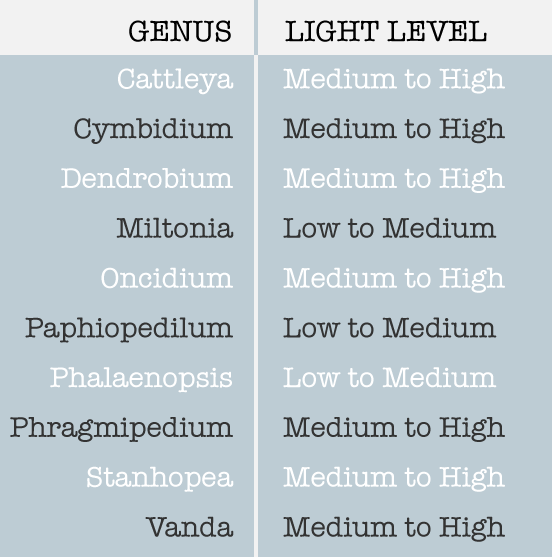 Foot Candle Chart